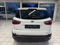 Ford EcoSport EcoBoost /6 Gang Weiß - thumbnail 8