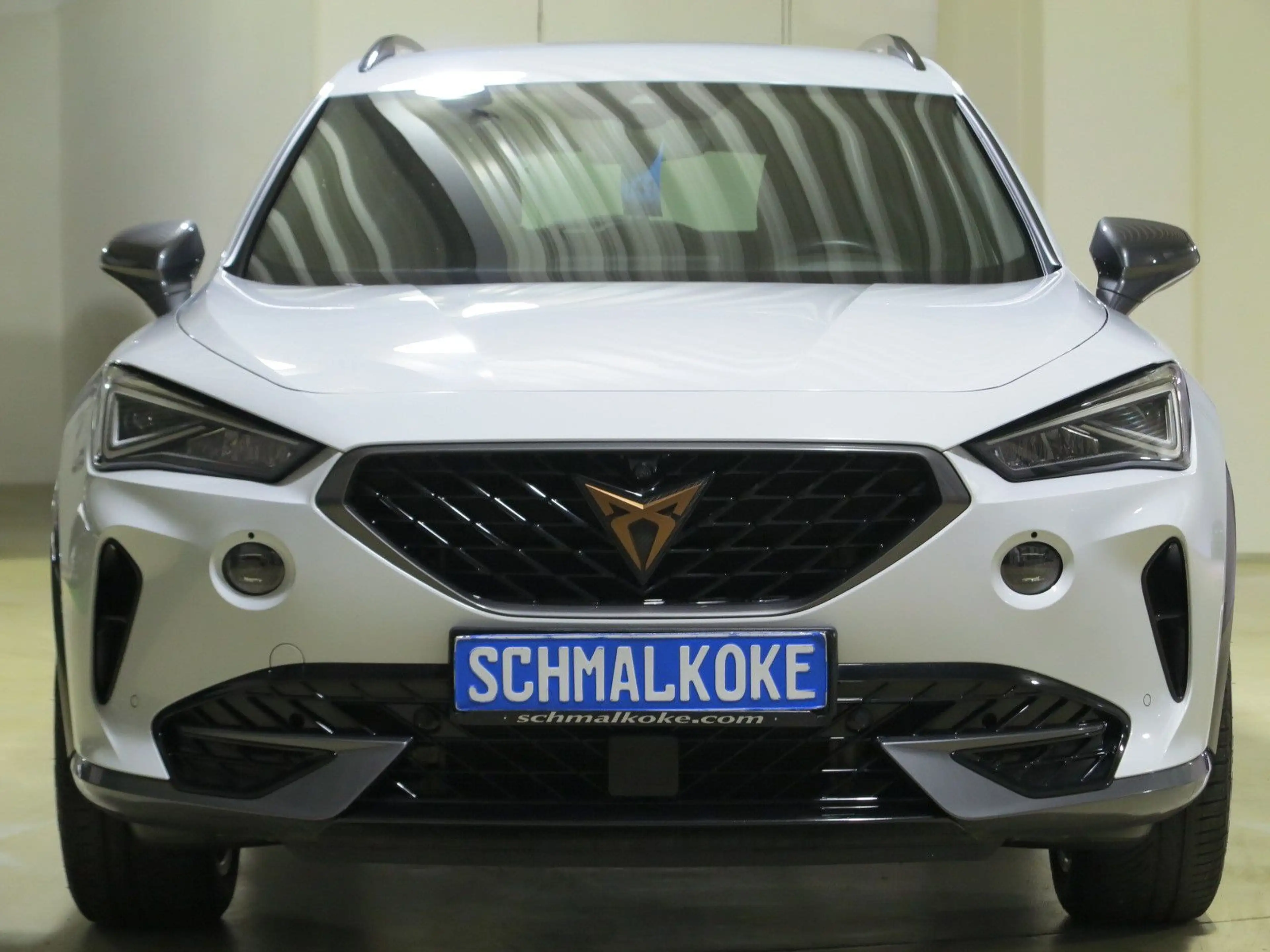 CUPRA Formentor TDI 2.0 4Drive DSG7 Navi ACC DAB
