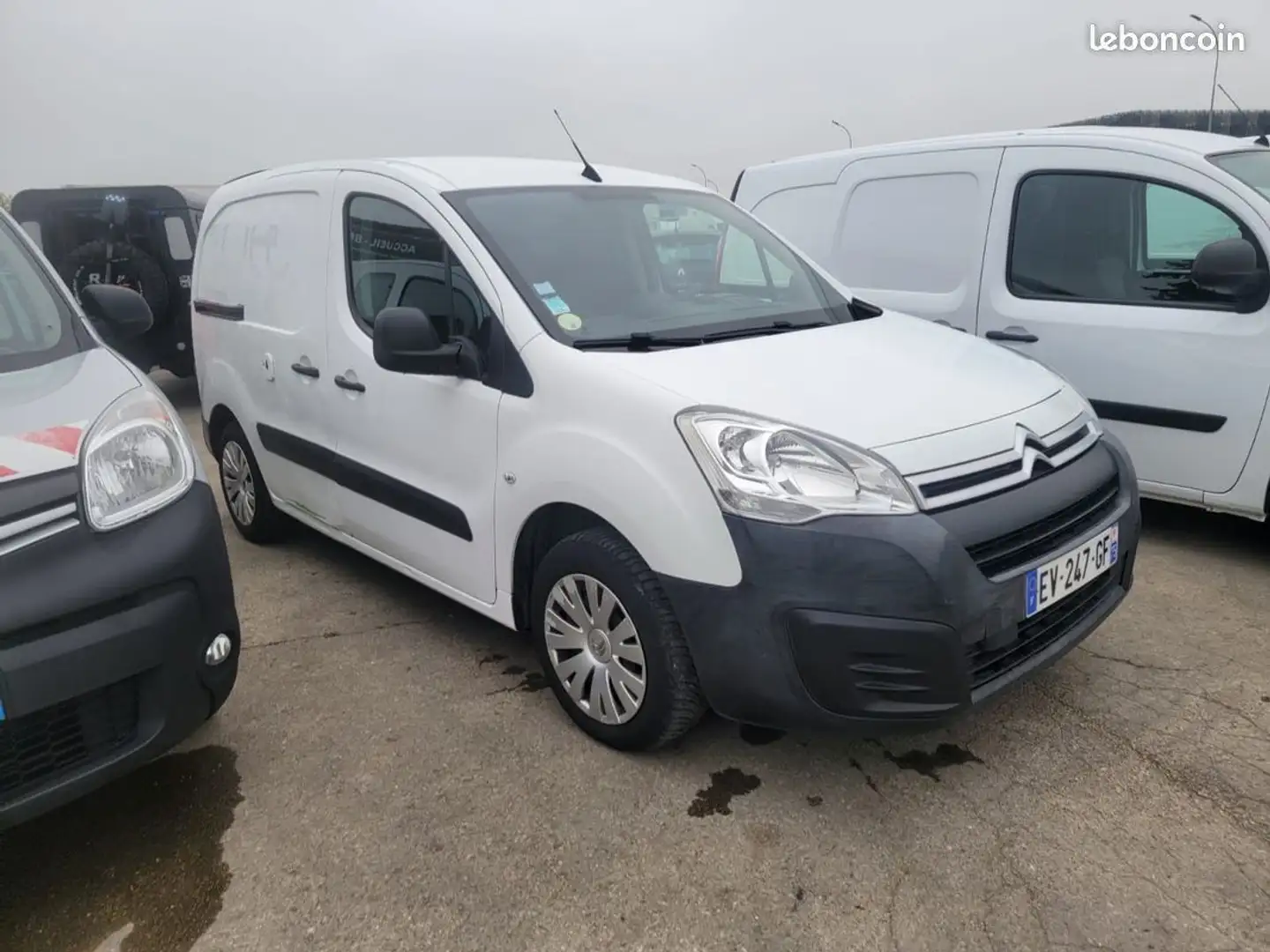 Citroen Berlingo L1 BlueHdi 75Ch Business M Blanco - 2