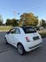 Fiat 500C 500 Cabrio PICKERL NEU Weiß - thumbnail 19