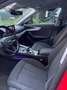 Audi A4 Avant 2.0 tdi Business 150cv s-tronic Rosso - thumbnail 7