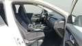 Nissan Qashqai 1.2 DIG-T N-Connecta 4x2 Blanco - thumbnail 11