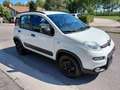 Fiat Panda 0.9 TwinAir Turbo Natural Power City Life Bianco - thumbnail 3