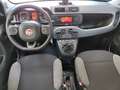 Fiat Panda 0.9 TwinAir Turbo Natural Power City Life Bianco - thumbnail 15