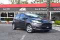 Ford Fiesta 1.0 EcoBoost 5 porte Powershift Titanium 100CV Gris - thumbnail 1