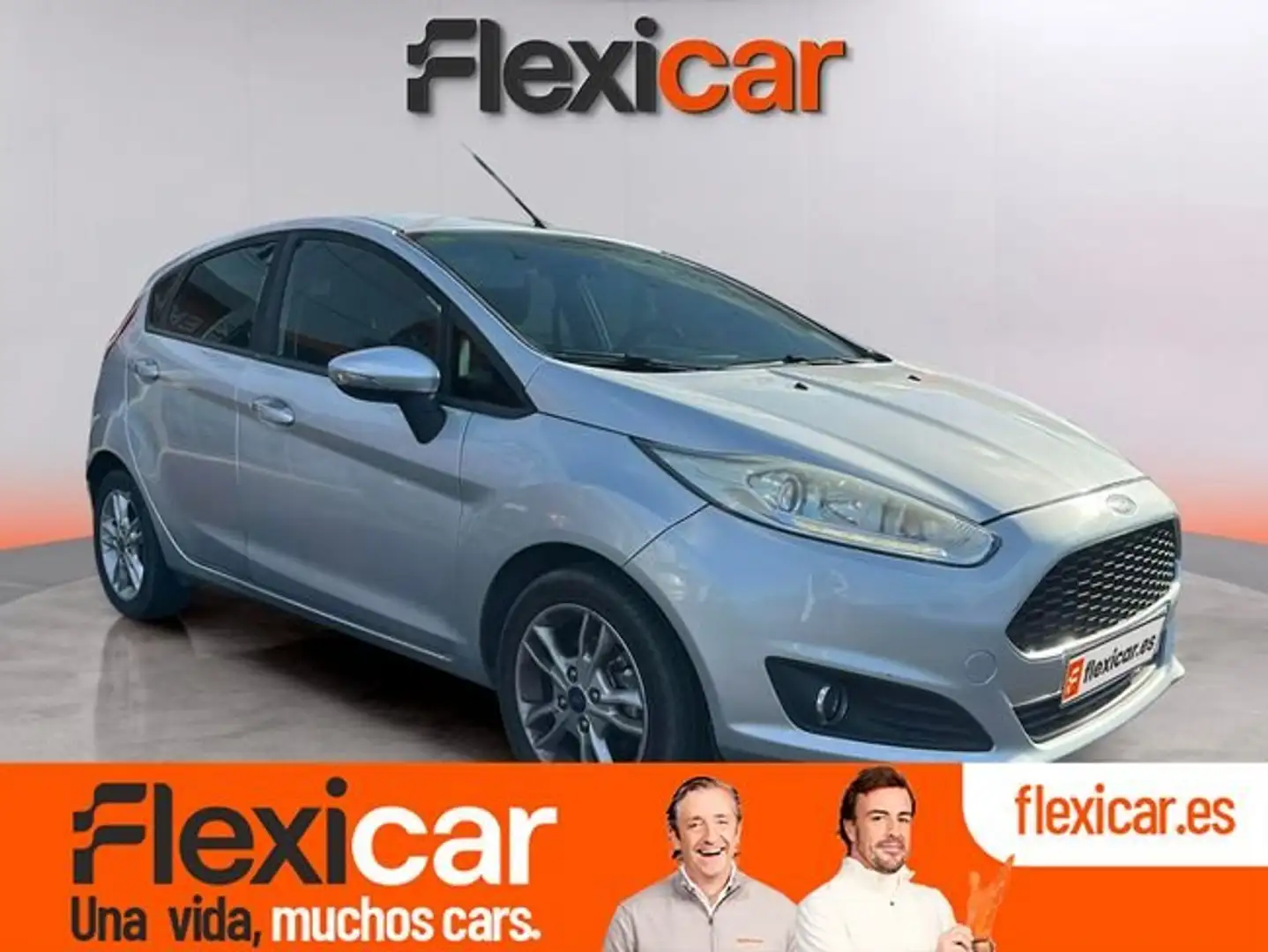Ford Fiesta 1.25 Duratec 82cv Titanium 5p Gris - 1