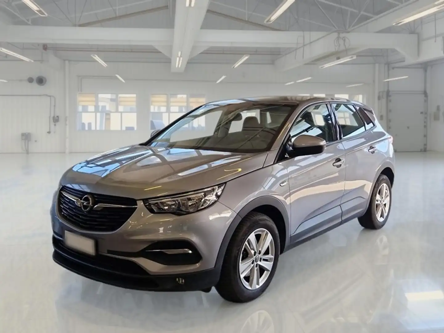 Opel Grandland X 1.5 Ecotec Diesel 130cv Business S&S AT8 - 1