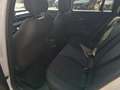 Jeep Avenger Ice My24 Summit 1.2 100cv Bianco - thumbnail 10