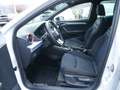 SEAT Ibiza 1.5 TSI Black Edition LED PANO BEATS Weiß - thumbnail 8