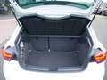 SEAT Ibiza 1.5 TSI Black Edition LED PANO BEATS Weiß - thumbnail 22