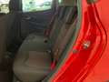 Renault Clio RS Trophy 5p 1.6 220cv edc-LEGGI SOTTO Rot - thumbnail 9