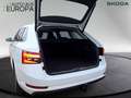 Skoda Superb Combi 1.4 TSI iV DSGStyle AHK ACC StandHZ Kam360 N Weiß - thumbnail 5