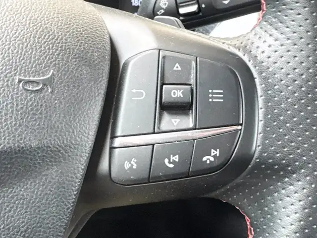 Ford Focus view 21