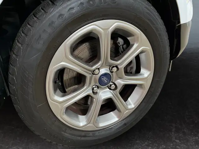 Ford Ecosport view 15