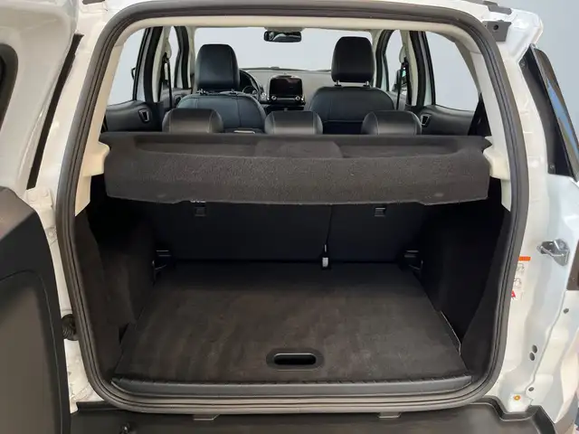 Ford Ecosport view 14