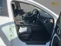 Kia Ceed / cee'd 1.5T 160Ps *KLIMA*NAVI*SITZHZG*RFK Wit - thumbnail 7