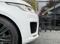 Land Rover Range Rover Sport 3.0 SDV6 HSE Dynamic|Pano Blanc - thumbnail 11