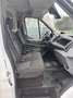 Ford Transit 330 L3H3 Lkw VA Trend Wit - thumbnail 8