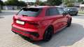 Audi RS3 -R Sportback ABT 500 PS 1/200, Matrix, B&O Rot - thumbnail 8