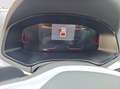 SEAT Ibiza 1.0 ecotsi FR 110cv dsg Nero - thumbnail 11