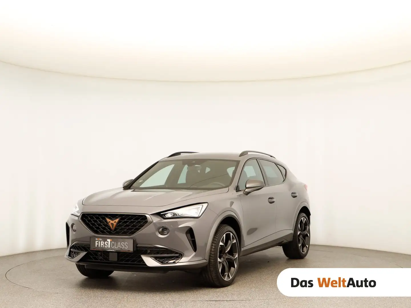 CUPRA Formentor 1.5 TSI 150 PS DSG ACT Grau - 1