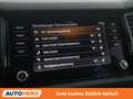 Skoda Kodiaq 2.0 TDI Sportline Grau - thumbnail 25