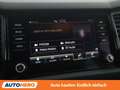 Skoda Kodiaq 2.0 TDI Sportline Grau - thumbnail 23