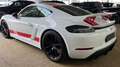 Porsche Cayman GT4 Blanco - thumbnail 4