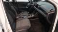 MG MG3 3 BERLINA CON PORTON 1.5 COMFORT MY25 116 5P Blanco - thumbnail 12