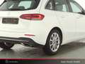 Mercedes-Benz B 200 B 200 Progressive+MBUXHigh+LED+AHK+Fernlichtass Weiß - thumbnail 4