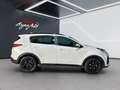 Kia Sportage 1.6 crdi mhev Black Edition 2wd 136cv dct - thumbnail 1