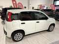 Fiat Panda 1.2 70CV *NO OBBLIGO FINANZIAMENTO* KM. CERTIFICAT Bianco - thumbnail 5