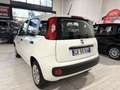 Fiat Panda 1.2 70CV *NO OBBLIGO FINANZIAMENTO* KM. CERTIFICAT Bianco - thumbnail 9