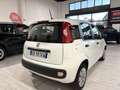 Fiat Panda 1.2 70CV *NO OBBLIGO FINANZIAMENTO* KM. CERTIFICAT Bianco - thumbnail 7
