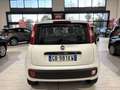 Fiat Panda 1.2 70CV *NO OBBLIGO FINANZIAMENTO* KM. CERTIFICAT Bianco - thumbnail 8