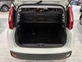 Fiat Panda 1.2 70CV *NO OBBLIGO FINANZIAMENTO* KM. CERTIFICAT Bianco - thumbnail 15