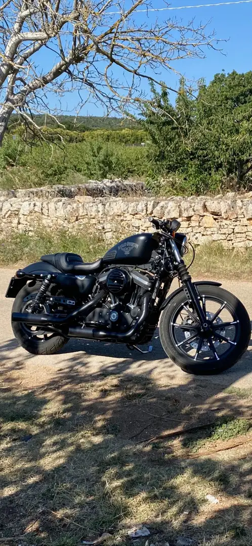 Harley-Davidson Sportster 883 iron Negru - 2