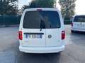 Volkswagen Caddy Maxi Bianco - thumbnail 12