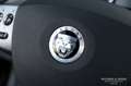 Jaguar XK 5.0 V8 Coupé Portfolio 'Concours condition' Zwart - thumbnail 33