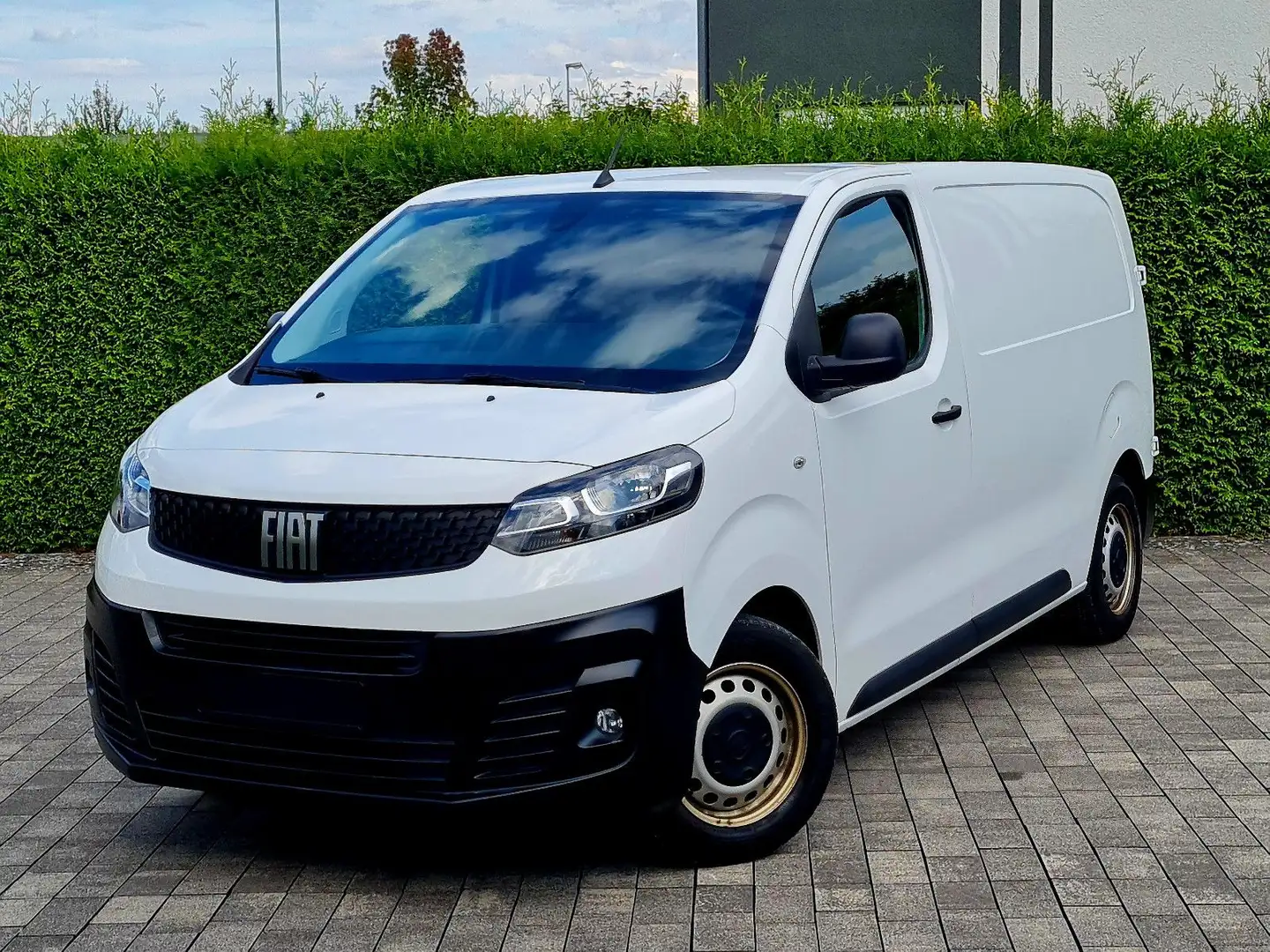 Fiat Scudo L2 (3-Sitzer, Langversion, Klima, PDC) Weiß - 1