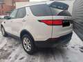 Land Rover Discovery 5, TD6 First Edition, Weiß - thumbnail 4