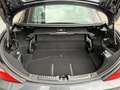 Mercedes-Benz SLK 250 SLK 250 CDI 7G-TRONIC CarbonLOOK Edition-22300 KM Grau - thumbnail 14