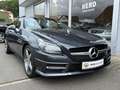 Mercedes-Benz SLK 250 SLK 250 CDI 7G-TRONIC CarbonLOOK Edition-22300 KM Grau - thumbnail 4