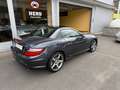 Mercedes-Benz SLK 250 SLK 250 CDI 7G-TRONIC CarbonLOOK Edition-22300 KM Grau - thumbnail 7