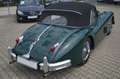 Jaguar Інші XK 140 S.E. DHC#(C-Type)# Зелений - thumbnail 6