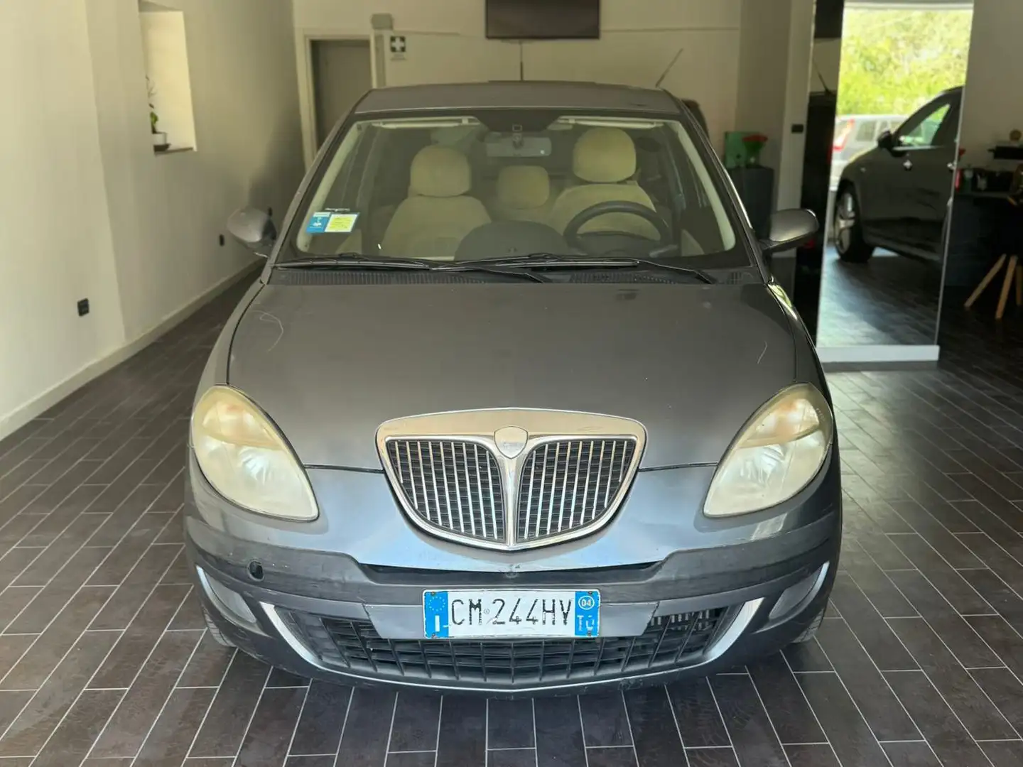 Lancia Ypsilon Ypsilon 1.3 mjt Argento Blauw - 1