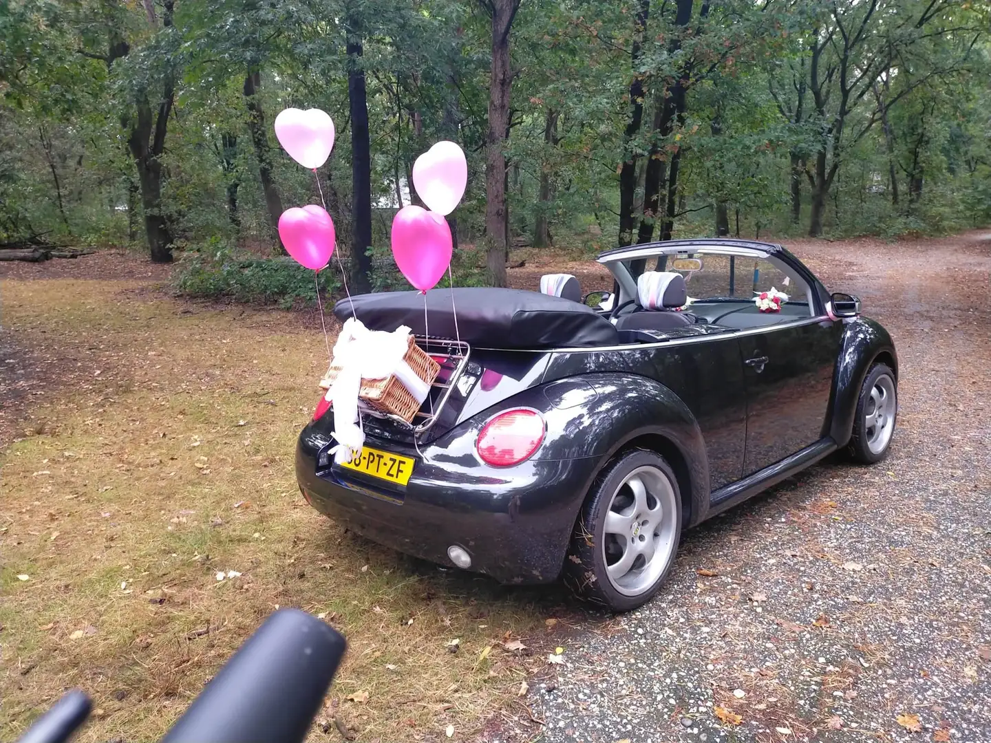 Volkswagen New Beetle 1.6 Černá - 2
