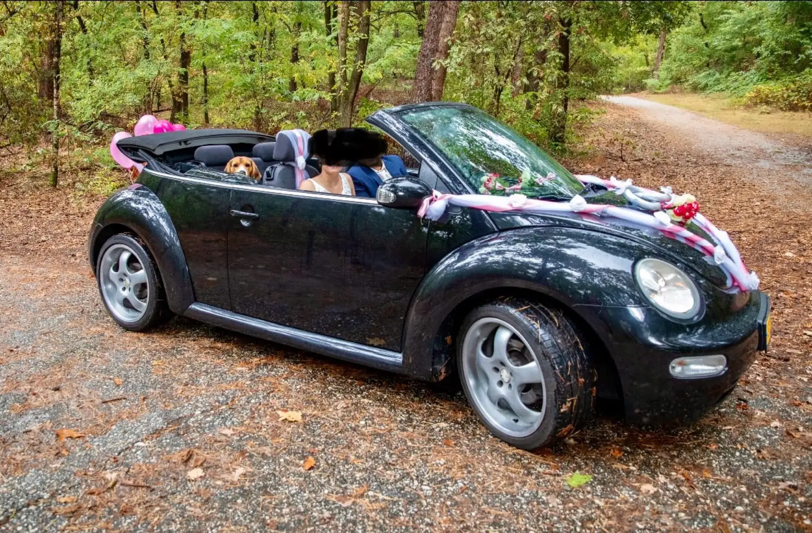 Volkswagen New Beetle 1.6 Černá - 1