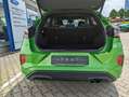 Ford Puma 1,5 Ecoboost ST X Performance Paket LMF Recaro Verde - thumbnail 15