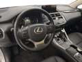 Lexus NX 300h 300h 2.5 Premium 4wd cvt Grau - thumbnail 10